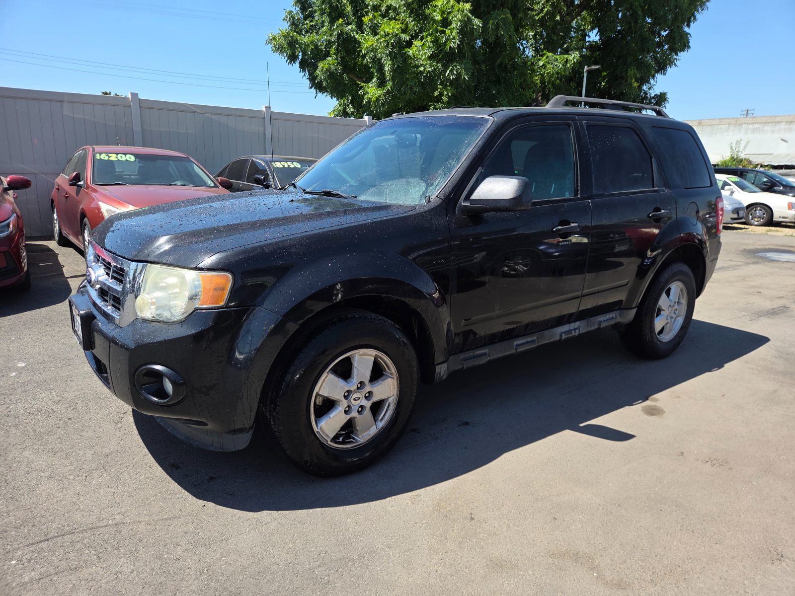 2011 Ford Escape XLT's photo