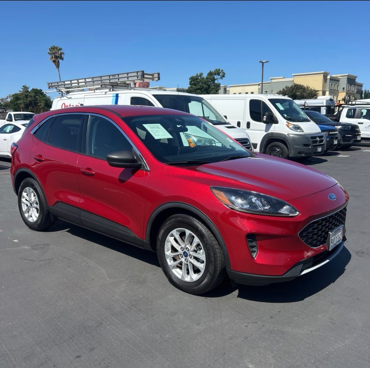 2022 Ford Escape SE FWD's photo